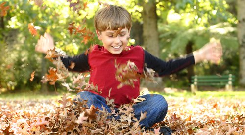 Он любит играть листьями. Дети играющие с листьями. Ребенок играет с листиками. Дети играют листикам. Деревьев. Детские картинки где дети играют с листвой.