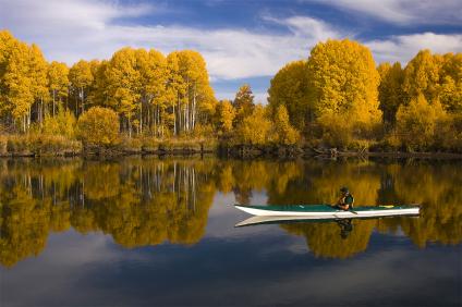 forestservice's tweet photo. Read our newest blog-Seeing is believing https://t.co/SjvWsfDp9m #FirstDayofFall #FallColor #CurrentFallMood https://t.co/rxiDK30dZF