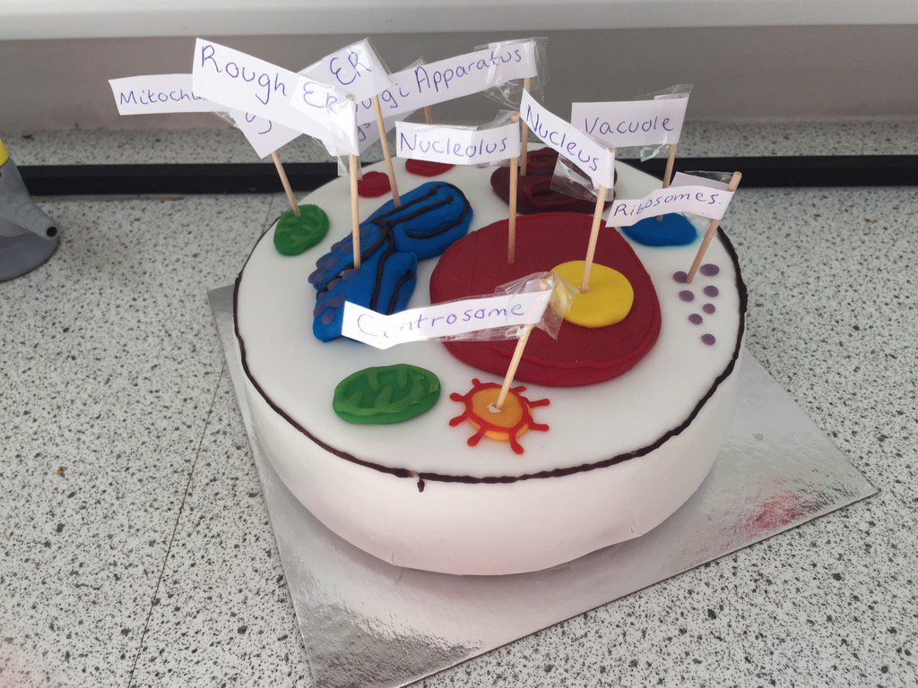 ogabiology's tweet photo. Some great cell models brought in today by year 9s very proud #cellbiology https://t.co/h9iZjBrlzF