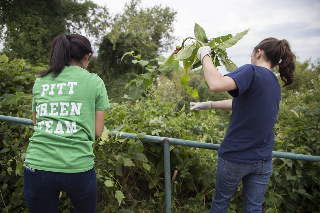 UPMCHealthPlan's tweet photo. #GameOnSouthSide! Thank you to @pittsburghparks all the awesome volunteers who came out Saturday to beautify South Side Park. https://t.co/5Vtm9W2m7T
