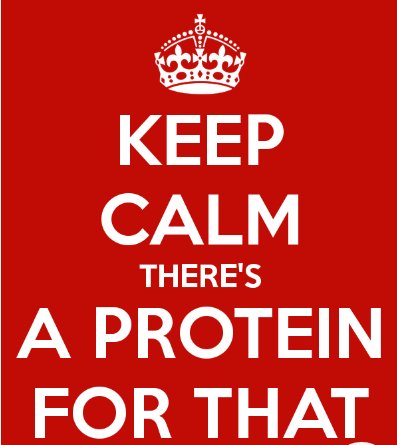 ribosomes2ad's tweet photo. Digestion? There's a protein for that.
Building molecules? There's a protein for that. 
Copying RNA and DNA? There's a protein for that https://t.co/YSQJW7QdgQ