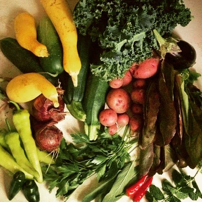 Enjoy the first day of Fall with an urban harvest! Today is Market Day, won't you join us?
#ldnont #ldnontour #ontag #buylocal