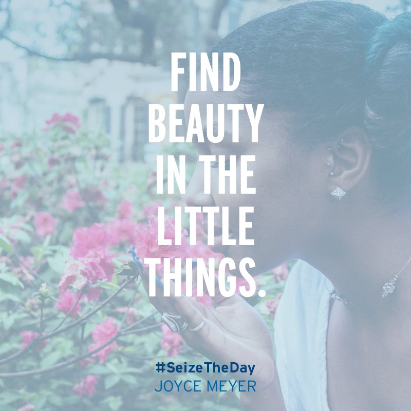 JoyceMeyer's tweet image. Stop and smell the roses. #SeizeTheDay