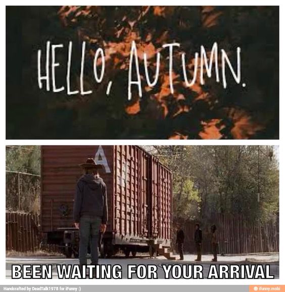 Pflegefrau's tweet image. #FirstDayofAll #TheWalkingDead in #autumn