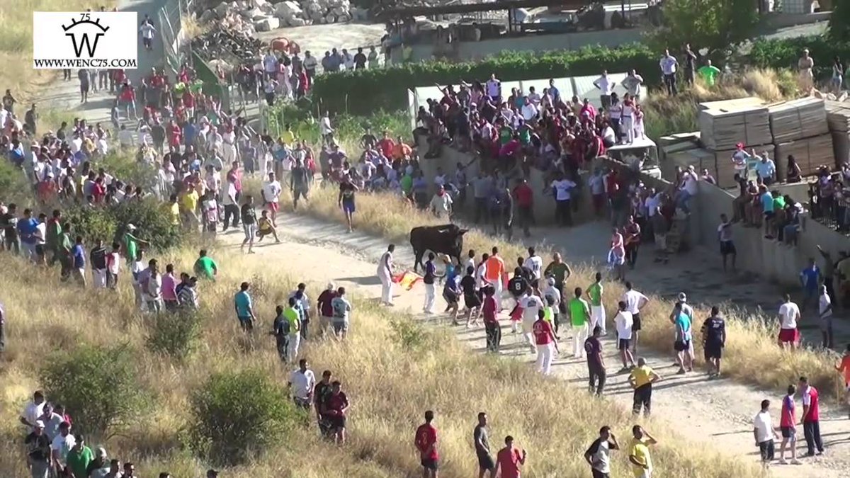 JuanraLuengas's tweet photo. Ejemplos de encierros por el campo,no dejemos que 4 aburridos quieran quitarnos las tradiciones de nuestros pueblos. https://t.co/jnLBmdfabO