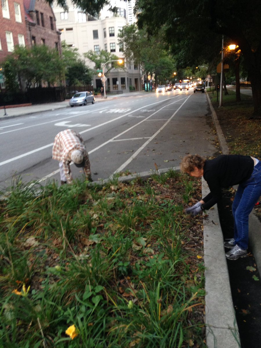 Volunteers up at 6:15 to weed n' clean--thanks to Barbara, Sherry and Elizabeth for keeping those bump outs tidy! #earlybirds