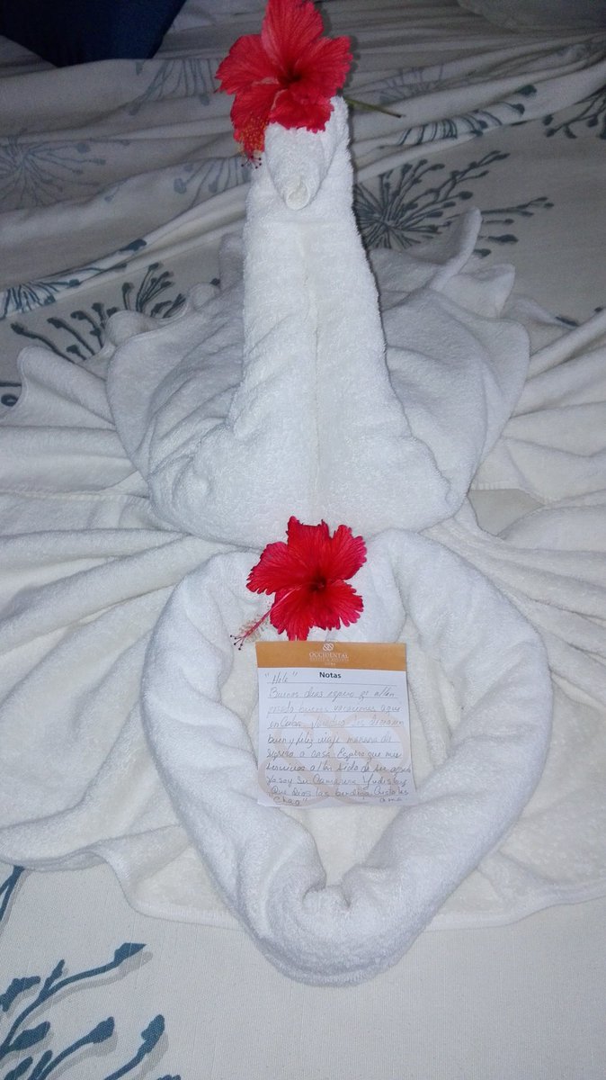 ceaesc's tweet image. Al mal paso buena cara, a seguir dandole duro a la vida!