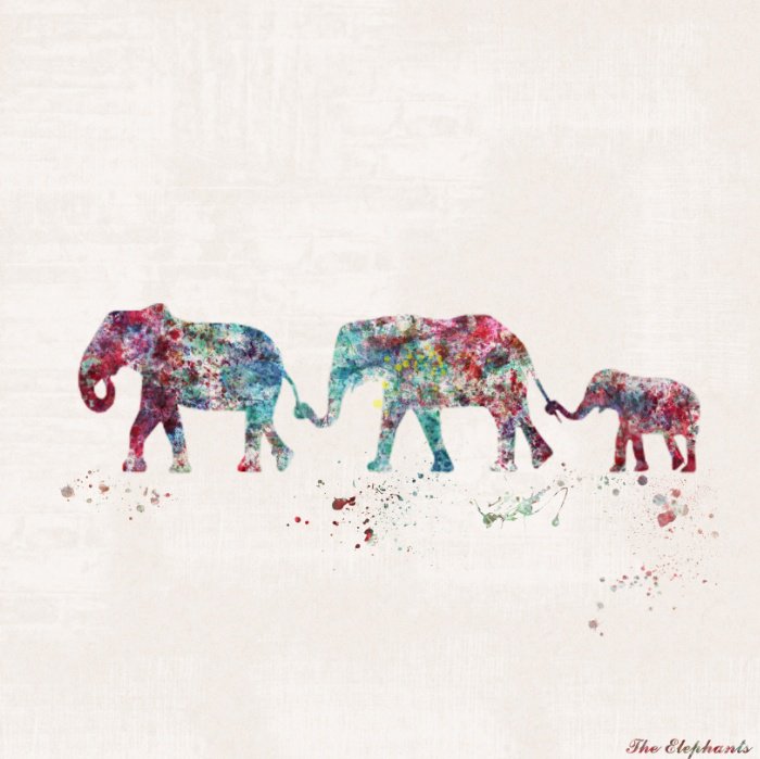 99check's tweet photo. Be with your kids while they're on the go.
#99check #CheckIn #ElephantAppreciationDay https://t.co/LKS1HDezYI