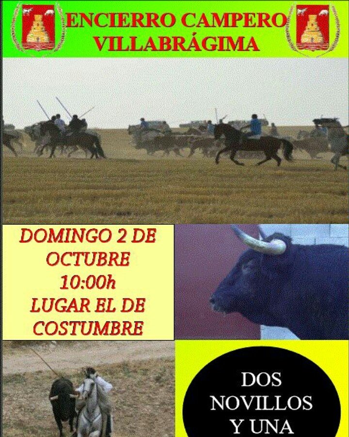 <a href="/Encierroscamper/">Encierroscamperoscyl</a> <a href="/ATR_2010/">As.Taurina Riosecana</a> <a href="/taurofrechos/">TAUROFRECHÓS</a> @CalendarTaurino <a href="/TaurinoCastilla/">Taurinos Castilla</a> <a href="/ChivarrosT/">Chivarros Taurinos</a> <a href="/encierrostk/">encierroscamperos</a> #Villabrágima2016