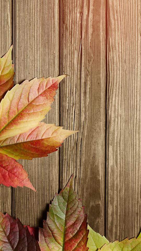 Dias Banda!!! #quemocion , hoy empieza el otoño, equinoccio, noches y días iguales. #informacionquecura ☺😊😀😁