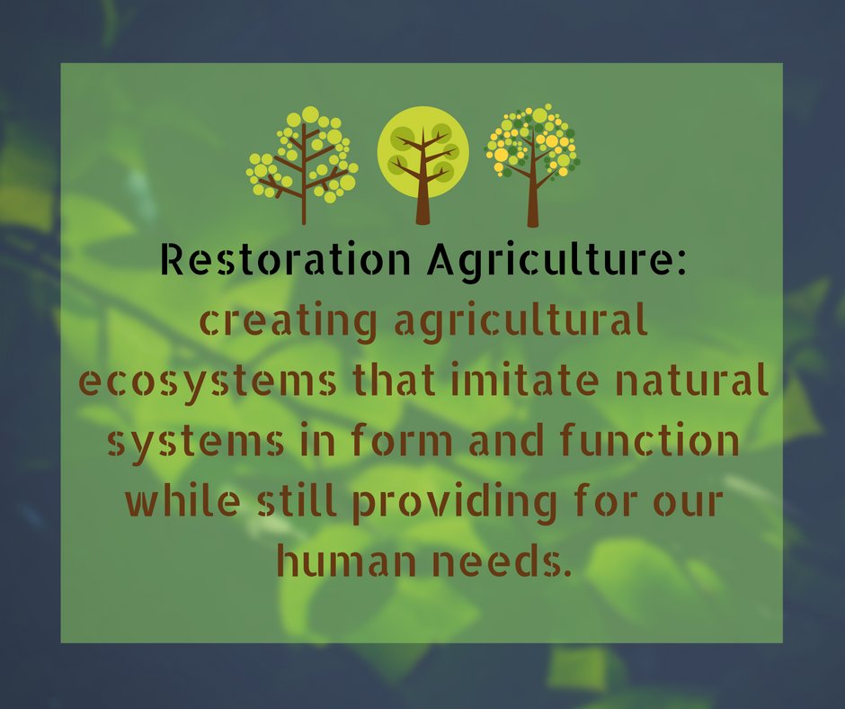 RestorationAgD's tweet photo. Restoration Agriculture Development in a nutshell. Learn more at https://t.co/elT6EvzSZV https://t.co/WjyEVsbtS4