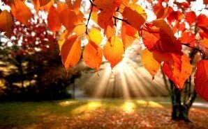 aagutierrezflor's tweet photo. https://t.co/VCLD27XYe5