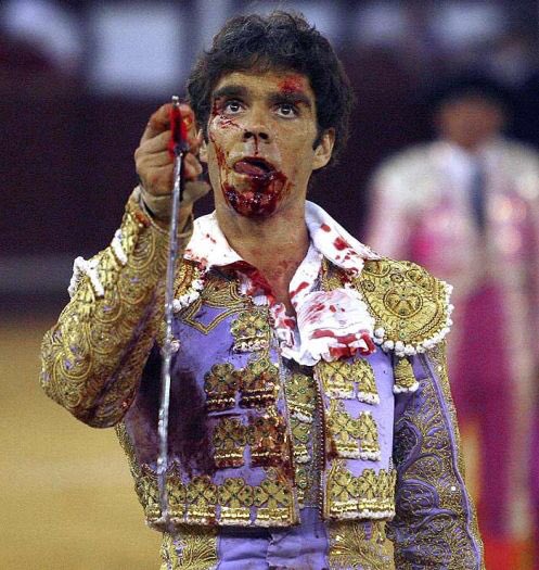 Observatorio de Violencia hacia los Animales tweet media