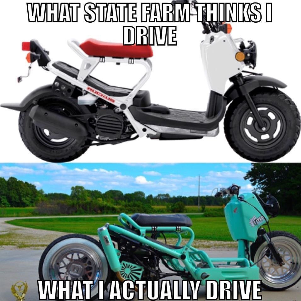 TiLTEDco's tweet photo. We support fooling State Farm 👍🏼 @rdahlinger
#honda #ruckus #stretched #tiltedo #keepittilted #statefarm https://t.co/ckh5w19oof