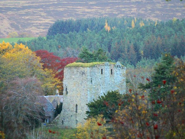 DruminMTB's tweet photo. Who fancies a trip to the woods? https://t.co/JXvFV4EhDz