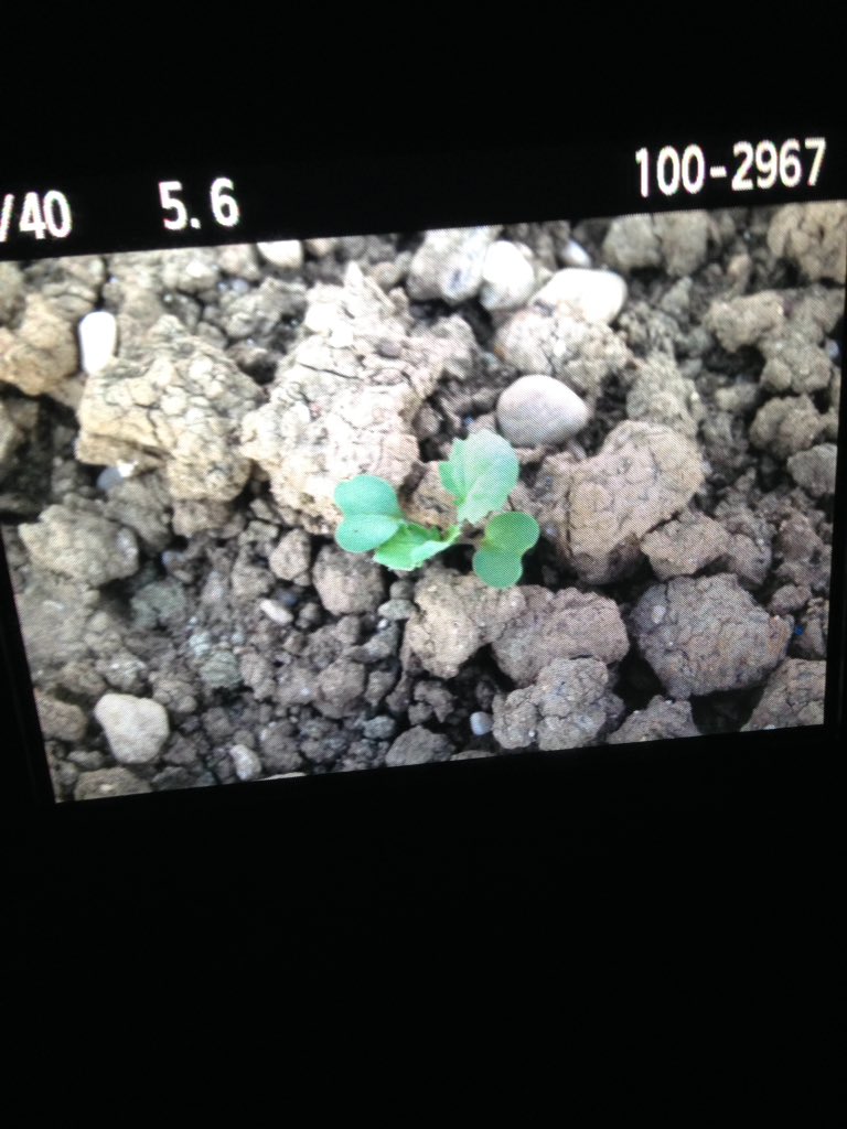 sorrynotbroke's tweet image. #create #createrscreate #life #nature #earth #beautiful #beauty #blog