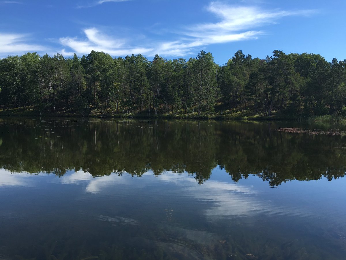 RachelleRenee_3's tweet photo. REASONS WHY I LOVE MICHIGAN❤️😍 https://t.co/uvDK1jzpz4