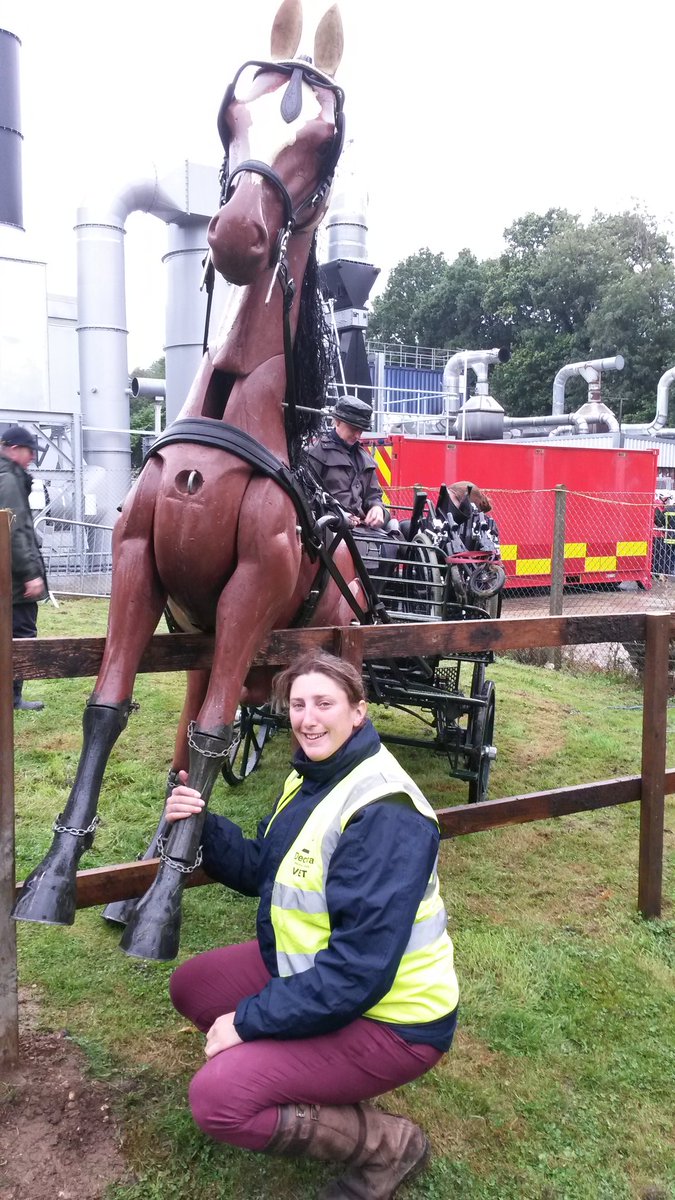 uknip247's tweet photo. RT HFRSanimal: A very big thank you to Laura Holmes our vet at today's UKRO challenge #UKRO2016 bartarescue avond… https://t.co/afa8y9ZCIW