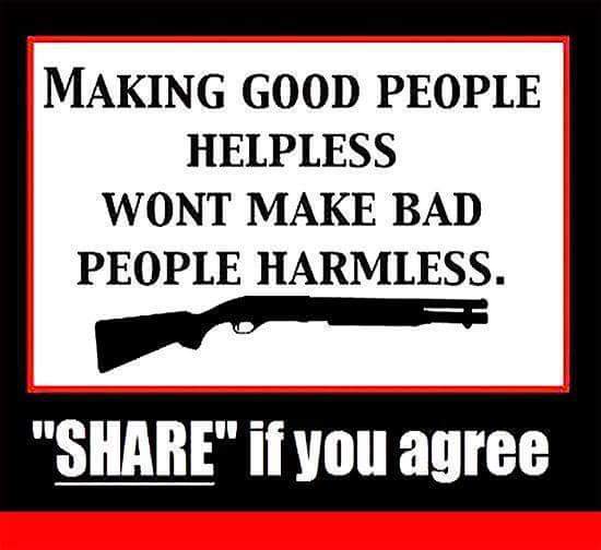 BobDeplorable's tweet photo. MT @AKC0G: Good people with a gun are NOT the problem. #ReinInDC #ArticleV #PJNET 
 https://t.co/iIogmqf4db