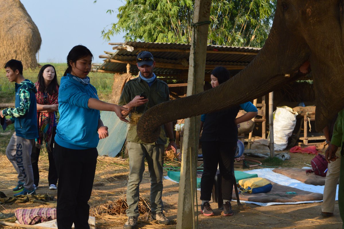 stravelnepal1's tweet photo. service project at Nepal ,#serviceproject #serviceinnepal #studentstravel https://t.co/lHB95n9Kgr
