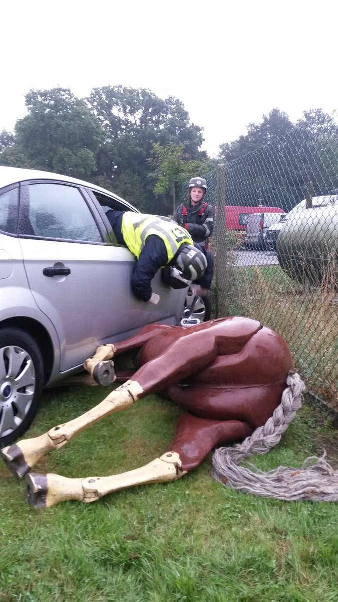 uknip247's tweet photo. RT HFRSanimal: A very big thank you to Laura Holmes our vet at today's UKRO challenge #UKRO2016 bartarescue avond… https://t.co/afa8y9ZCIW