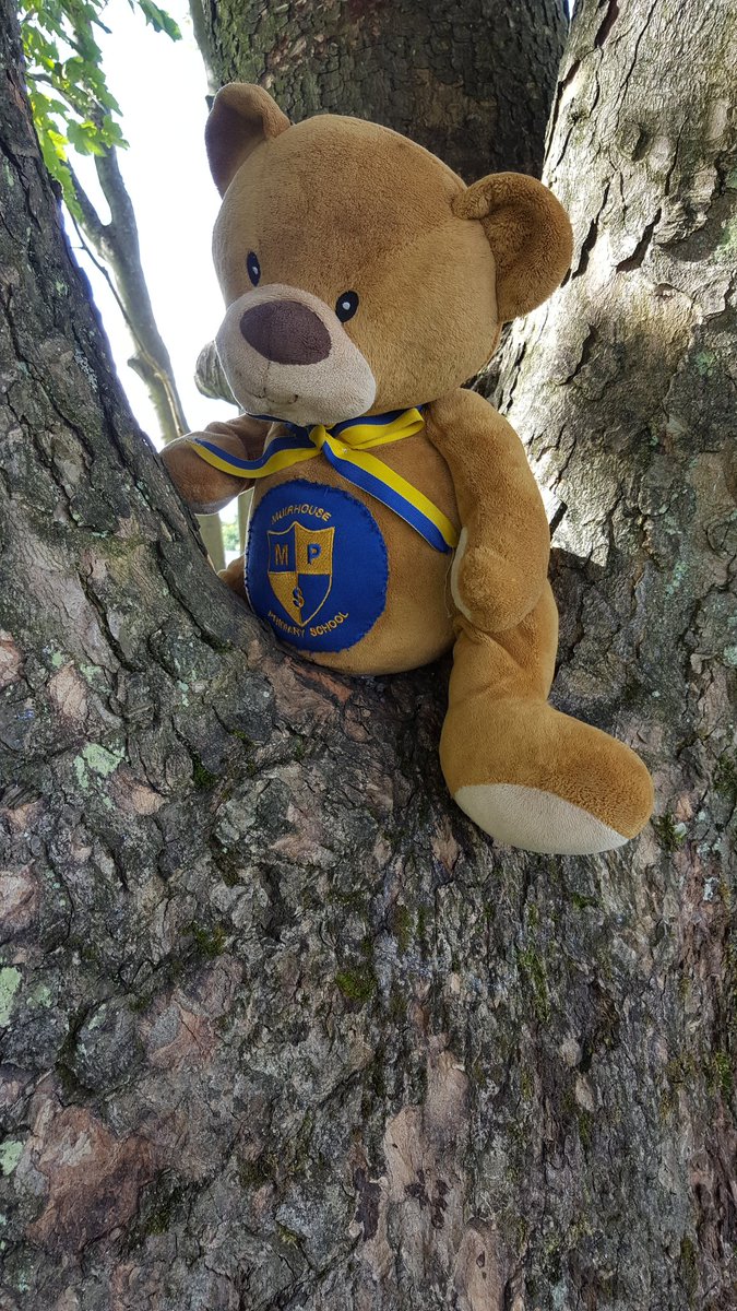 cbur85's tweet photo. #backpackbear had a gd day @ #rugby Got 2 do a guard of honour 4 the 1st XV! @DalzielRugby @MuirhousePS https://t.co/C3yXI7OwGo