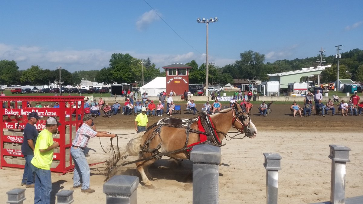 Spoonamore's tweet photo. #TeamSpoonamore taking in #horsepull at Wayne County Fair. @Waynewings we hot entries from three states and canada https://t.co/9250UYQ3Ss