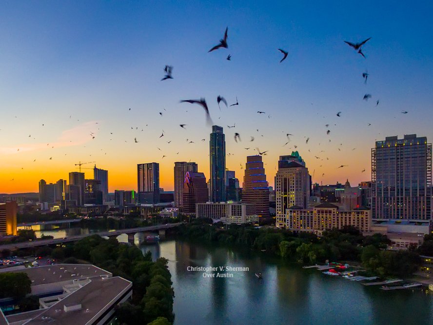 I'm Batman. Wow @overatx turns 2 next month. Time flies when you're having fun. #bats #austintx #austinbats