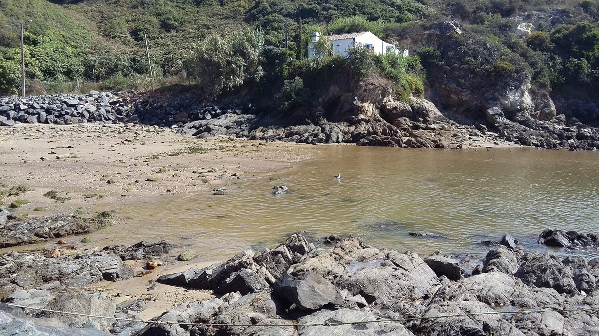 Carla Sofia tweet media