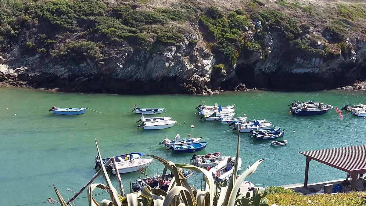 Carla Sofia tweet media