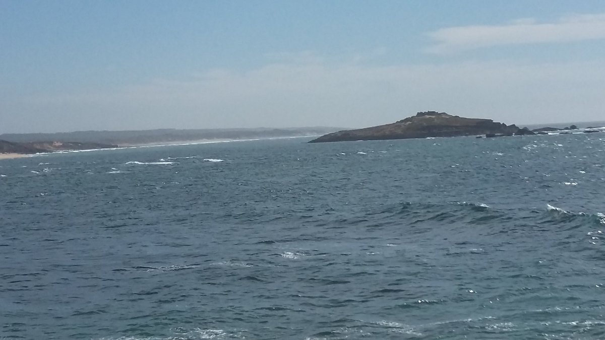 Carla Sofia tweet media