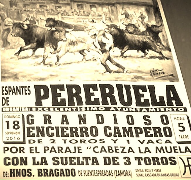 Encierroscamperoscyl (@encierroscamper) on Twitter photo 