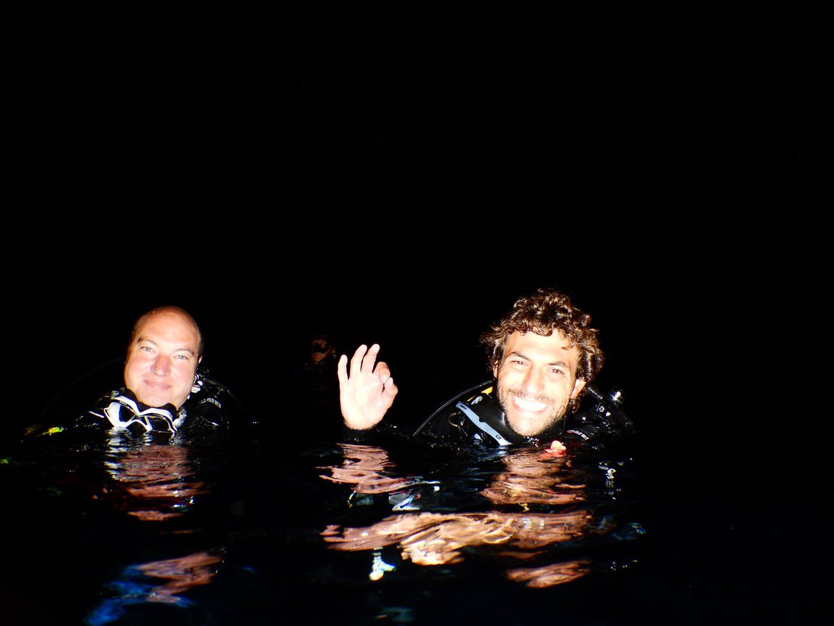 MallorcaProdive's tweet photo. #NightDiving in an #Octopuses garden! #ScubaDiving in #Mallorca @scubadiverlife @SeeMallorca @TOTNMallorca @Seasaver https://t.co/g30eQ8sHVL