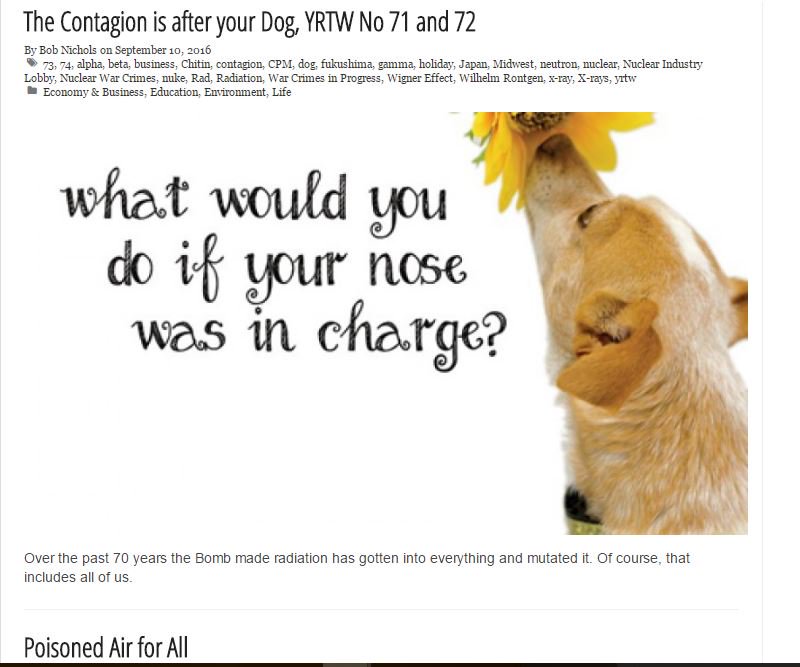 YourRads's tweet photo. #YourRadiationThisWeek The Contagion is after your Dog,
#YRTW No 71 - 72
https://t.co/1n02eum1UW #DodgeTheRads https://t.co/llMbTnyUAP