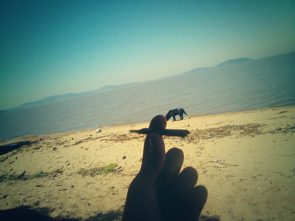 vemk_TL's tweet photo. Sol,marola e praia 😎😏🍁🔥💨 #tacalmo #talindo #éassim 😘 https://t.co/LZSxkdvs8X