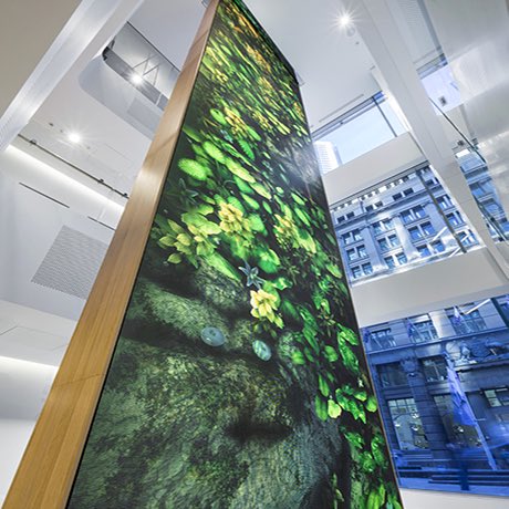 going2events's tweet photo. ANZ Virtual Garden, LED display by @unilumingroup #finepitchLED #unilumin https://t.co/AAPDmdmOQk