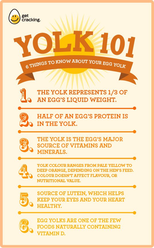 drjamesdinic's tweet photo. The benefits of egg yolk @jcsouto @drjasonfung @tednaiman @markhymanmd @SBakerMD @livinlowcarbman @DavidPerlmutter https://t.co/SUe2SYpyh8