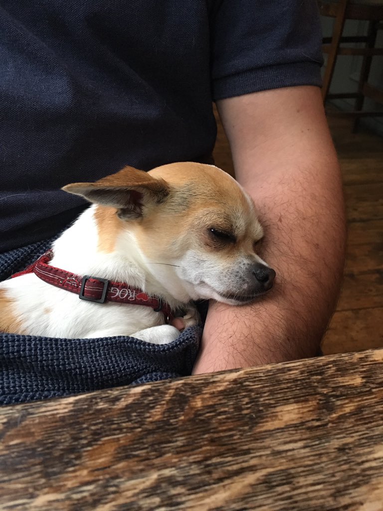 EastEndMorris's tweet photo. I've had a very long day, but don't be mistaken, I am not asleep, I'm just resting my eyes https://t.co/ewmj8YTowY