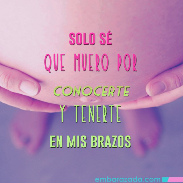 Embarazada.com tweet media