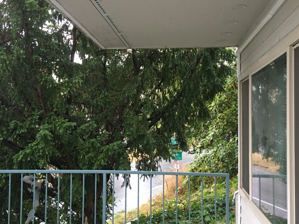 Found Sounds tweet media