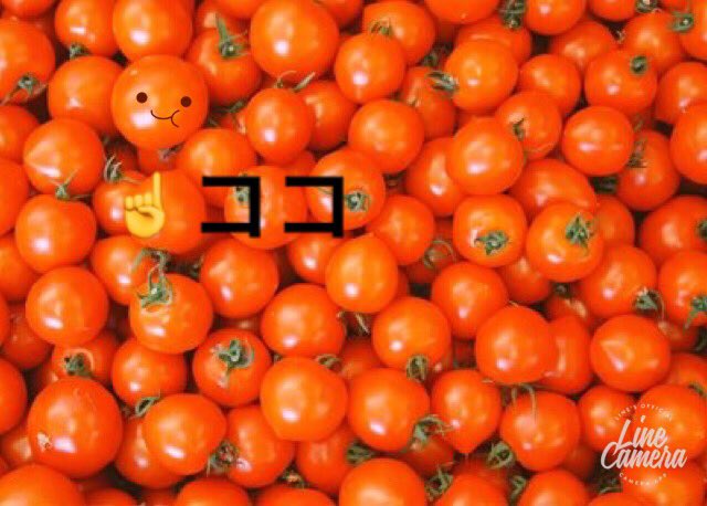 b156992's tweet photo. @tomato_is_me 
これでしょうか？笑 https://t.co/8r32UEdIyQ