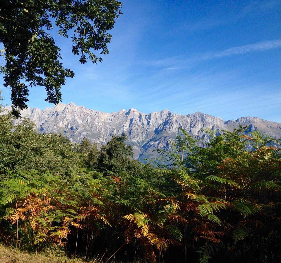 Rabago_Rionansa's tweet photo. #SierraBora #Campollo #VegadeLíébana #Otoñeando #Septiembre2016 #PlaceresdelaVida #PlaceresLebaniegos https://t.co/UvoK18Yahn