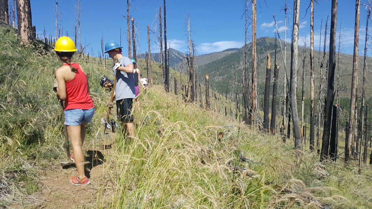 CoconinoNF's tweet photo. Little Bear Trail Day volunteers working hard, repairing damage from #SchultzFire #Flagstaff @FlagstaffBiking https://t.co/OeiM7NqXFn