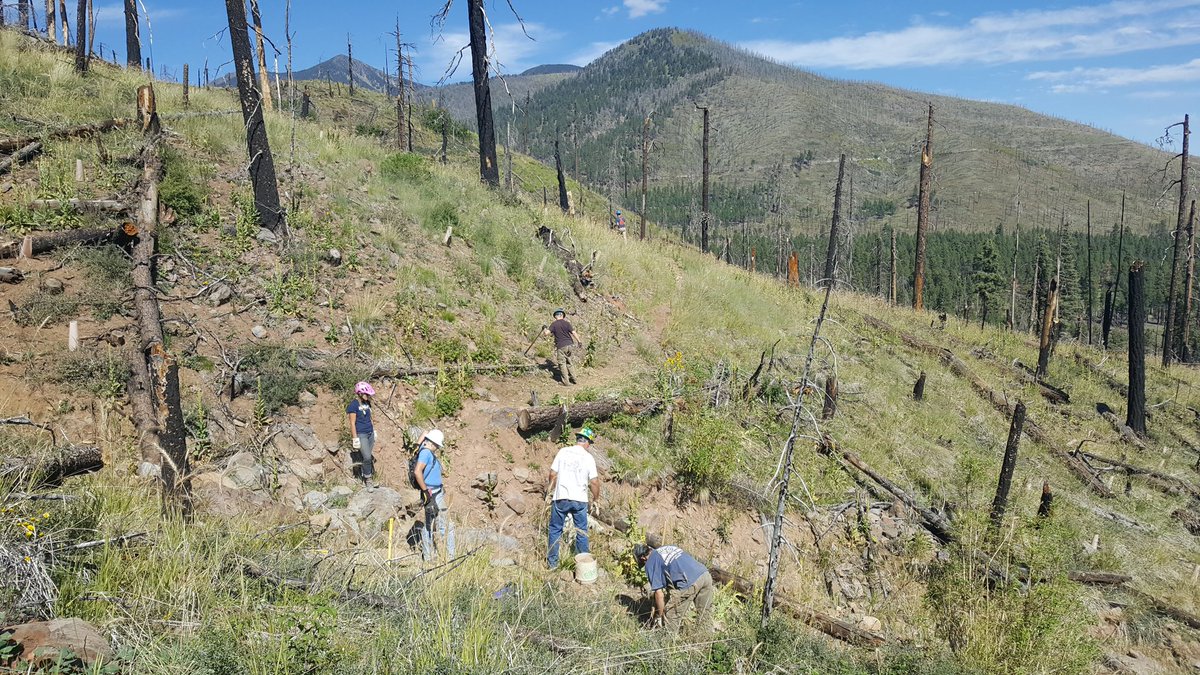 CoconinoNF's tweet photo. Little Bear Trail Day volunteers working hard, repairing damage from #SchultzFire #Flagstaff @FlagstaffBiking https://t.co/OeiM7NqXFn