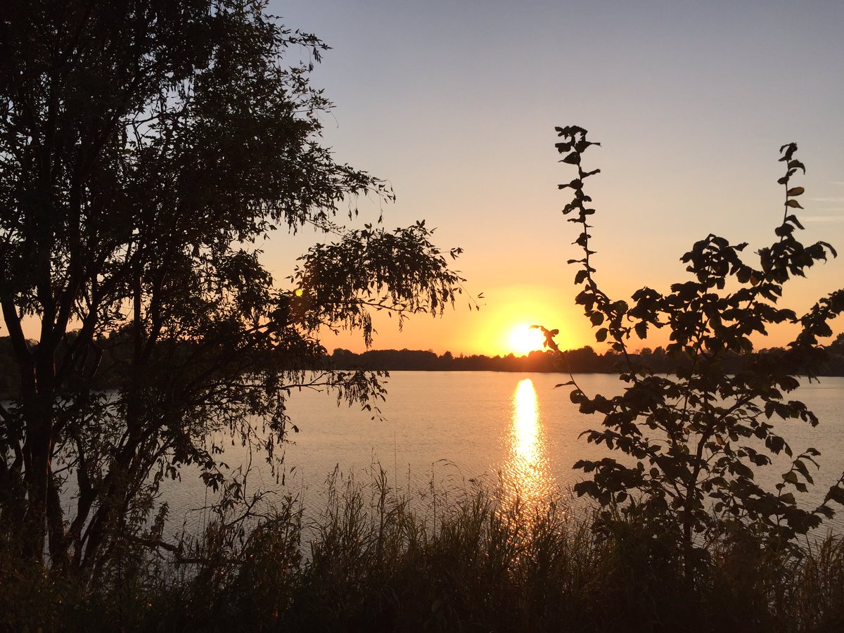 fornestedt's tweet photo. Härligt att få njuta av det fina vädret ännu en kväll #klagshamn https://t.co/fbT1mdAVSy