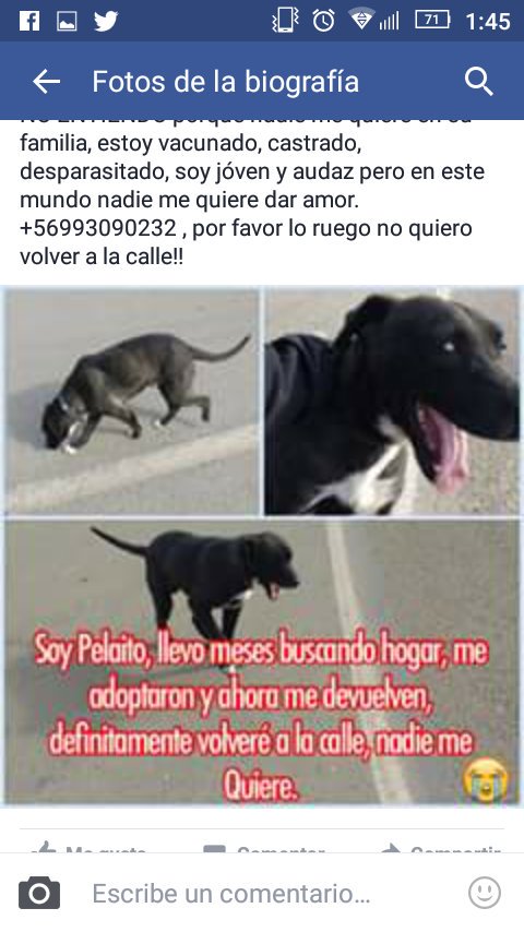Chilena9772 tweet picture