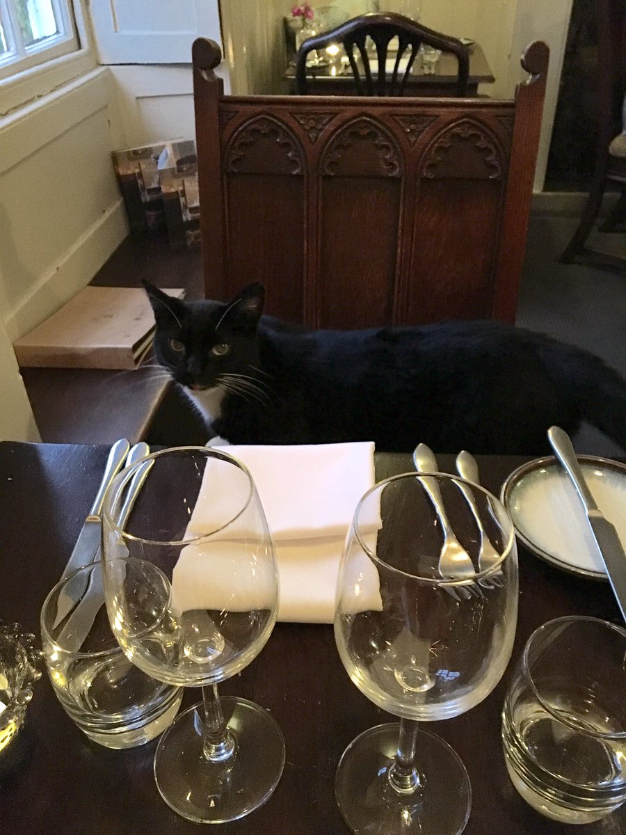 Mally The Ex Pub Cat tweet media
