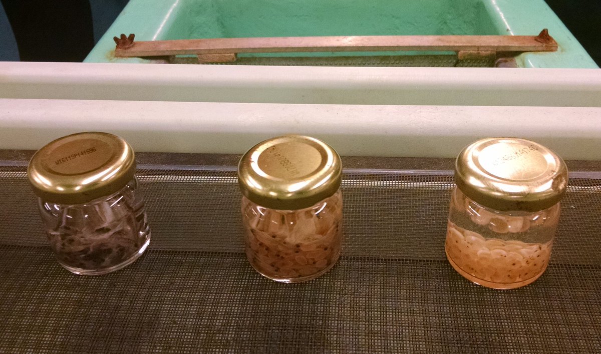 GermJuggler's tweet photo. 1st #SEQL2016 follow-up continues at #MontaukStatePark Fish Hatchery @MissouriSandT https://t.co/D1M8pv7Huz