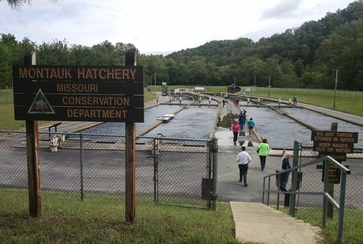 GermJuggler's tweet photo. 1st #SEQL2016 follow-up continues at #MontaukStatePark Fish Hatchery @MissouriSandT https://t.co/D1M8pv7Huz