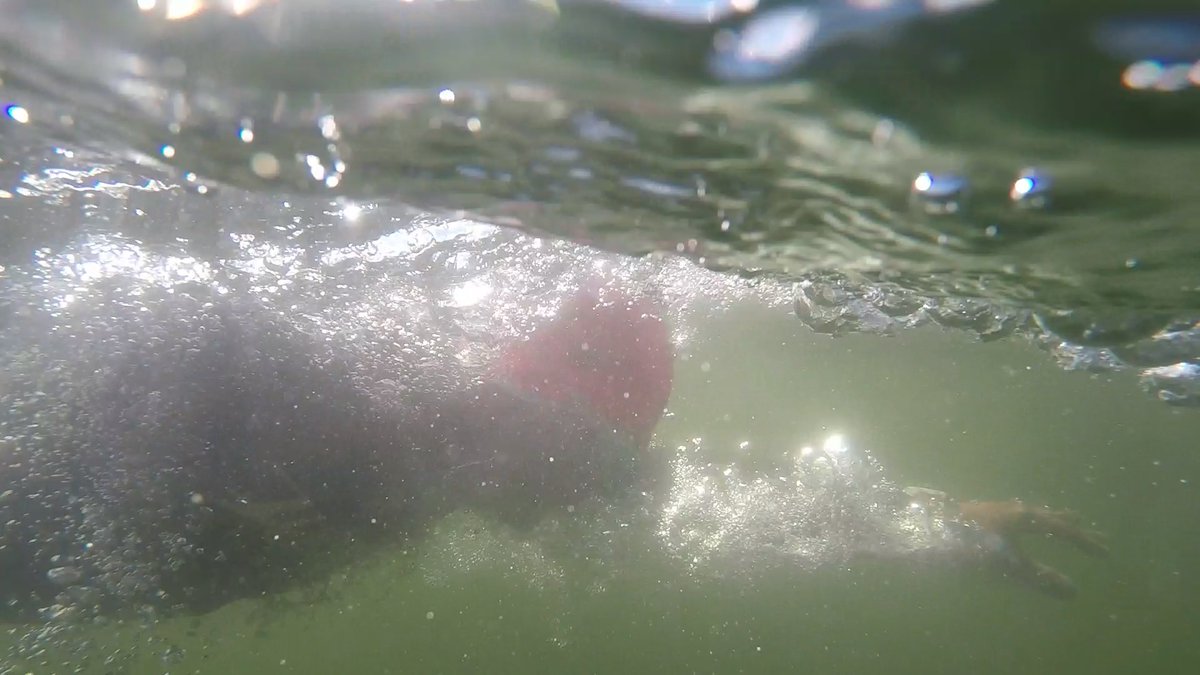 MattRenoux's tweet photo. In Summit County the highest elevation triathlon have swimmers for the 1st time ever in a cold Lake Dillon! @9NEWS https://t.co/MgK18T2k9Z